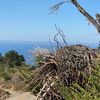 Treebones Resort - The nest - Resorts Near Me - Big Sur, California Treebones Resort - The nest - Resorts Near Me - Big Sur, California