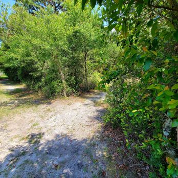 Lake Rogers Park - May 2022: Some trails would come to a "V," yet there were no trail markers. - Hiking Near Me - Odessa, Florida