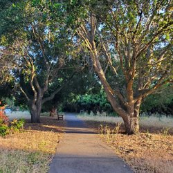 Trail across Peter Coutts Road