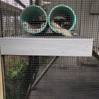 Busch Wildlife Sanctuary - Zoos Near Me - Jupiter, Florida