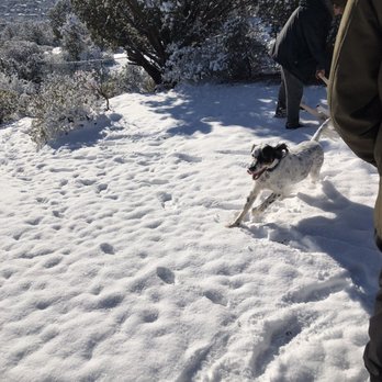 Dog Park - Dog Parks Near Me - Sedona, Arizona Dog Park - Dog Parks Near Me - Sedona, Arizona