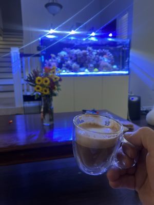 LAX Aquarium by null