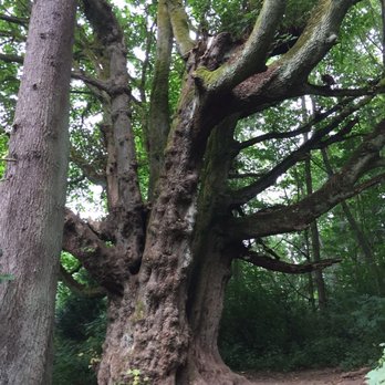 Discovery Park - Parks Near Me - Seattle, Washington