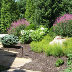 Pinnacle Lawn Care