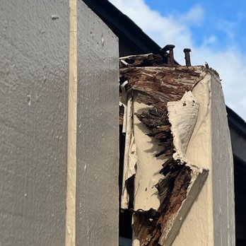 Absolute Termite & Pest Control - Pest Control Near Me - Kapolei, Hawaii