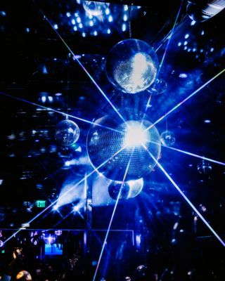 Zebbie's Garden by null