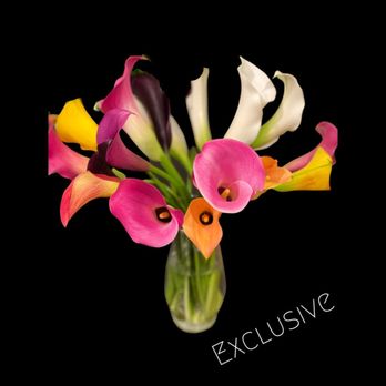 Lund Floral - Mini callas - Nurseries & Gardening Near Me - Ogden, Utah
