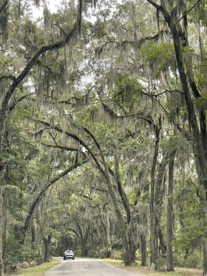 Skidaway Island State Park by null