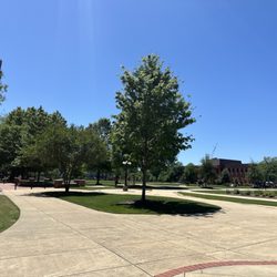 Mississippi State University - Quad