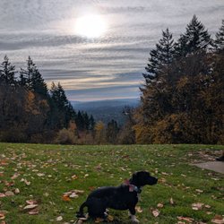 Council Crest Park