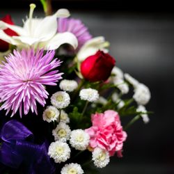 Pleasanton Floral