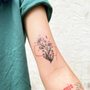 Photo of Zx3 Ink | Garden of Eve