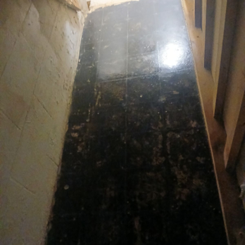 Upcoming Environmental Services - Abatement - Environmental Abatement Near Me - Detroit, Michigan Upcoming Environmental Services - Abatement - Environmental Abatement Near Me - Detroit, Michigan