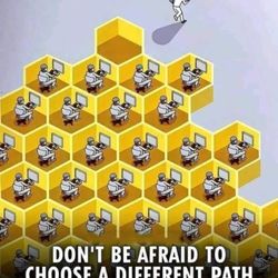 D.A. Brown Business & Accounting Solutions - We will help you every step of the way when it comes to starting your new business.