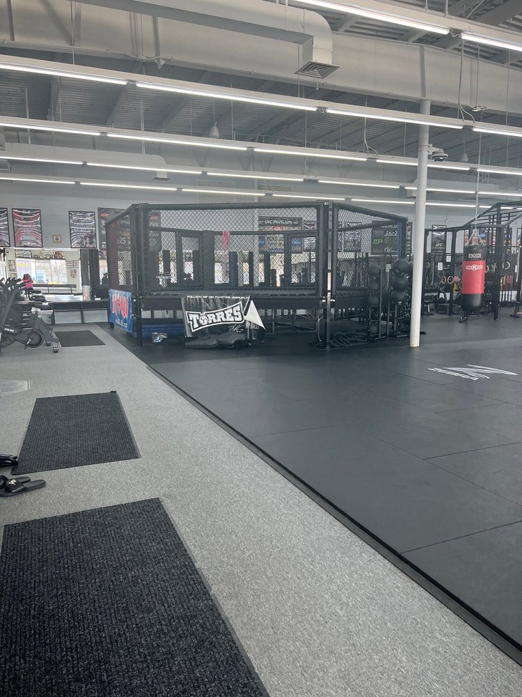 Torres Martial Arts Academy Logo