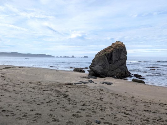 Shi Shi Beach by null