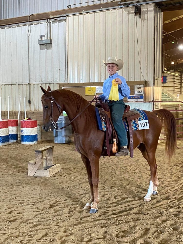 Crystal Creek Farm - equestrian in Reidsville, NC