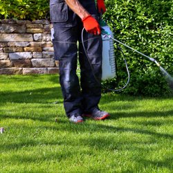 Green Armor Pest Control - Lawn treatments