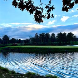 Island Green Resort and Golf Club