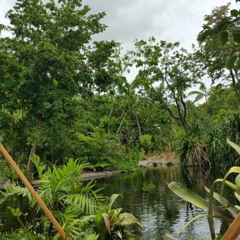 Jungle Island - Amusement Parks Near Me - Miami, Florida