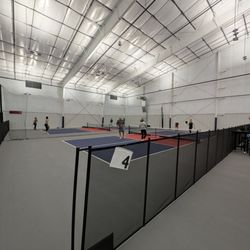 LTP Pickleball