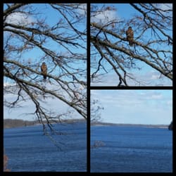 McBees On The Lake