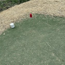 Meadowood Golf Course - Red tees are solo cups on a turf tee box