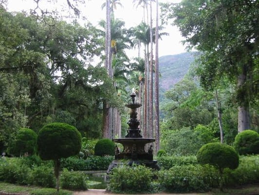 Botanical Garden of Rio de Janeiro by null
