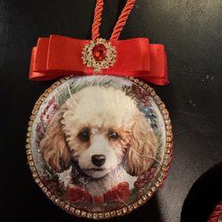 Palladian Consign And Design - Decoupage Ornament with pet photo. Item is better than the photo!
