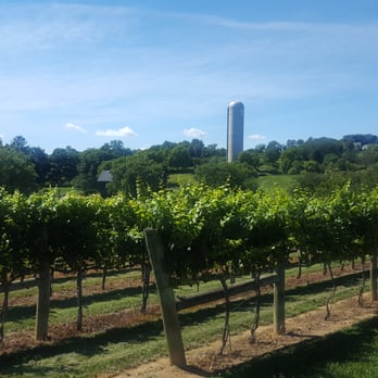 Otium Cellars - View of the vineyard. - Wineries Near Me - Purcellville, Virginia