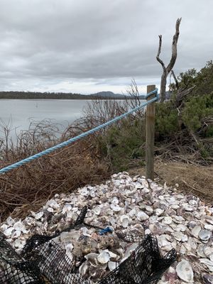 Melshell Oyster Shack by null