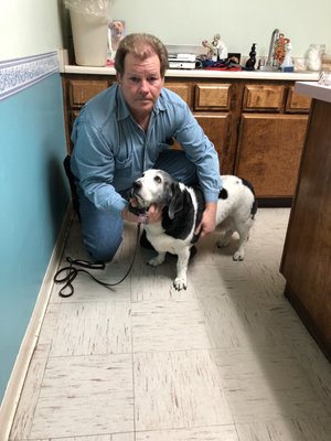 Community Animal Hospital 562 W Rialto Ave Rialto Ca Veterinarians Mapquest