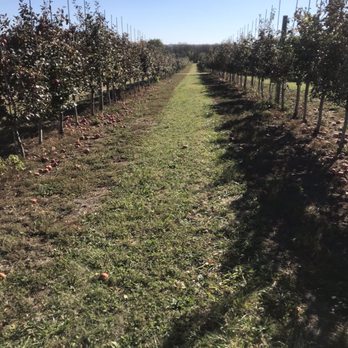 Cody's Farm And Orchard - Fruits & Veggies Near Me - Marengo, Illinois