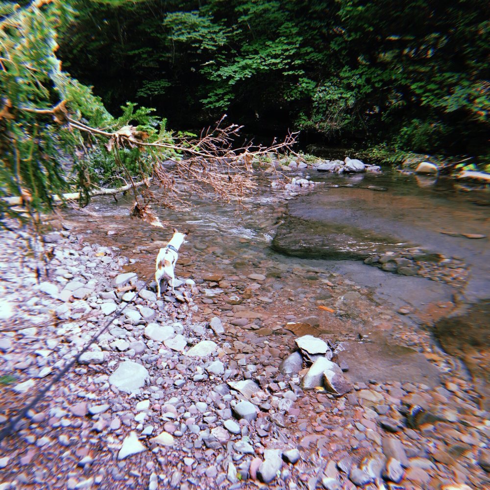 Glen Falls House - Resorts Near Me - Round Top, New York Glen Falls House - Resorts Near Me - Round Top, New York