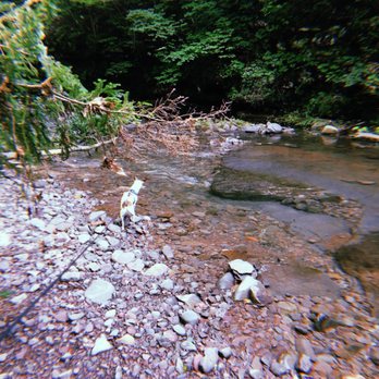 Glen Falls House - Resorts Near Me - Round Top, New York