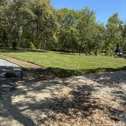 In the Zone Irrigation - New sod