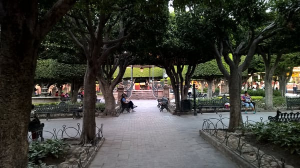 Jardín Allende by null