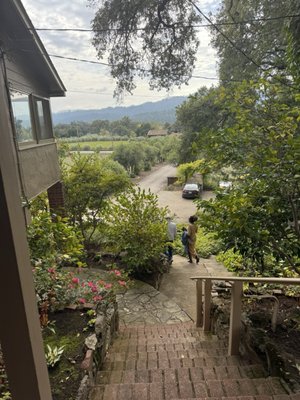 Ladera Vineyards by null