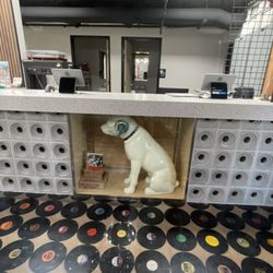 Vinyl Record Dude