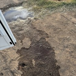 La Paz County Park - More grossness