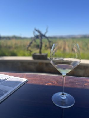 Sangiacomo Vineyards by null