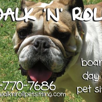 Walk N Roll - Pet Sitting Near Me Walk N Roll - Pet Sitting Near Me