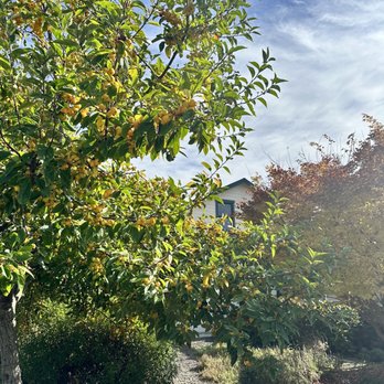 Applegarden Farm Cider Mill - A peek of their charming home - Beer, Wine & Spirits Near Me - Tomales, California Applegarden Farm Cider Mill - A peek of their charming home - Beer, Wine & Spirits Near Me - Tomales, California
