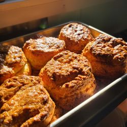 Biscuits in the morning sun!