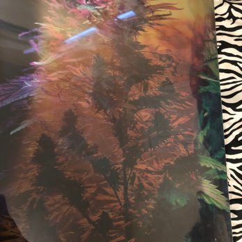 Levels Dispensary - Cannabis Clinics Near Me - Lakewood, Colorado Levels Dispensary - Cannabis Clinics Near Me - Lakewood, Colorado
