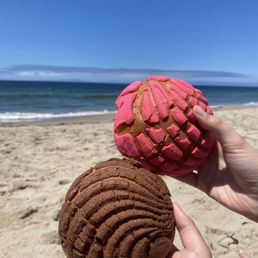 Conchas - enjoyed at a nearby beach Conchas - enjoyed at a nearby beach