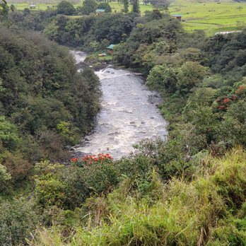 The Umauma Experience - Gorgeous river runs in the back of the property - Ziplining Near Me - Hakalau, Hawaii The Umauma Experience - Gorgeous river runs in the back of the property - Ziplining Near Me - Hakalau, Hawaii