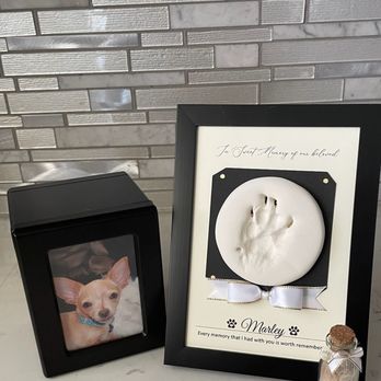 Sunrise Pet Cremation - Marley was full of love - Pet Cremation Services Near Me Sunrise Pet Cremation - Marley was full of love - Pet Cremation Services Near Me