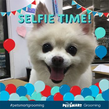 PetSmart - Pet Training Near Me - Fountain Valley, California PetSmart - Pet Training Near Me - Fountain Valley, California