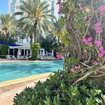 Hilton West Palm Beach - Hotels Near Me - West Palm Beach, Florida Hilton West Palm Beach - Hotels Near Me - West Palm Beach, Florida